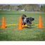 FitPAWS Juego de obstáculos, , large indicador imagen numero 3