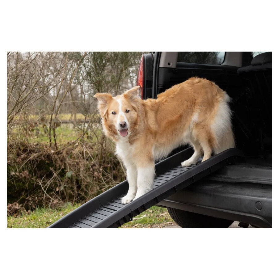 Flamingo rampa Zenna para perros thumbnail