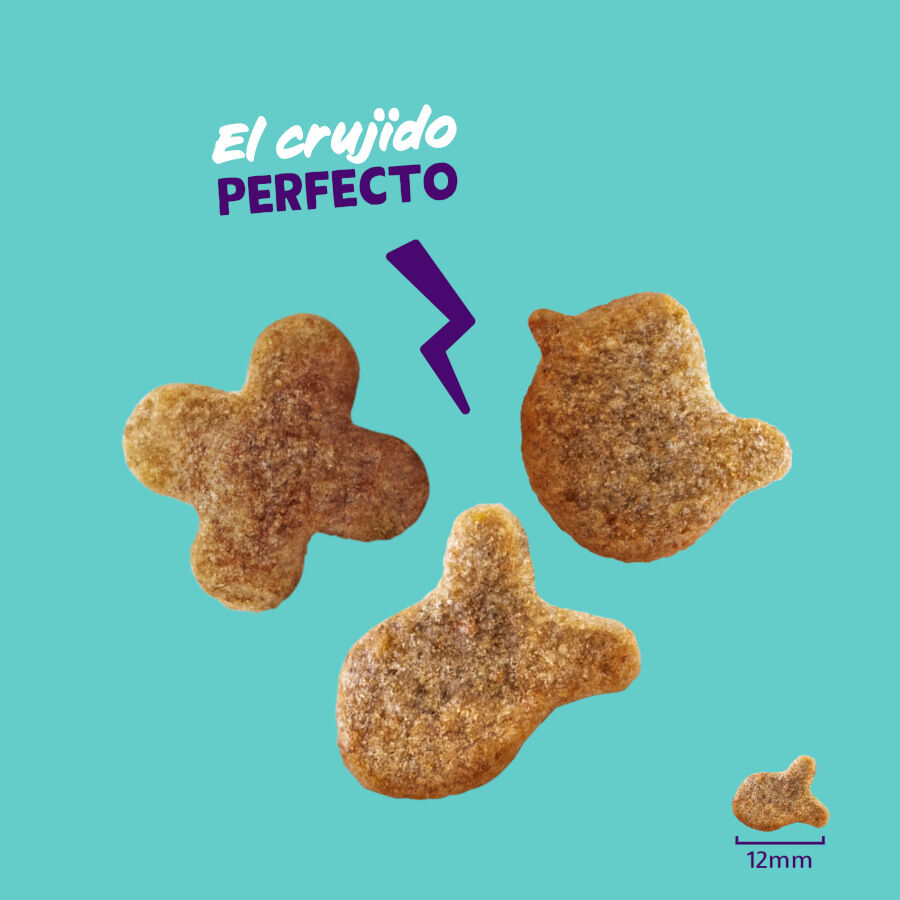 Edgard &amp; Cooper Galletas Crunchies Salmon para gatos thumbnail