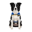 Gotoo Chaqueta Azul con Bolsillo para perros, , large indicador imagen numero 7