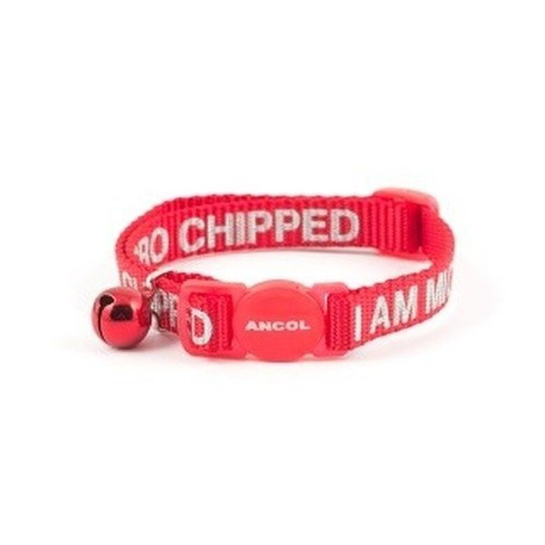 Collar texto I Am Microchipped para gatos color Rojo, , large image number null