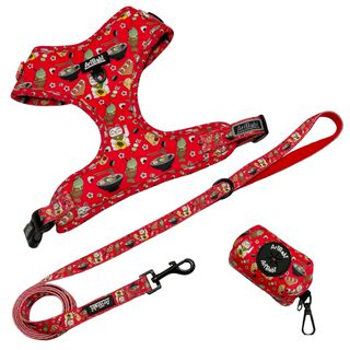 AriBabi Pack Accesorios de paseo Tokio para perro