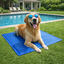 Summer Vibes Manta Refrescante Azul para perros, , large indicador imagen numero 1