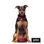 Gotoo Correa reflectante de malla roja para perro, , large indicador imagen numero 3