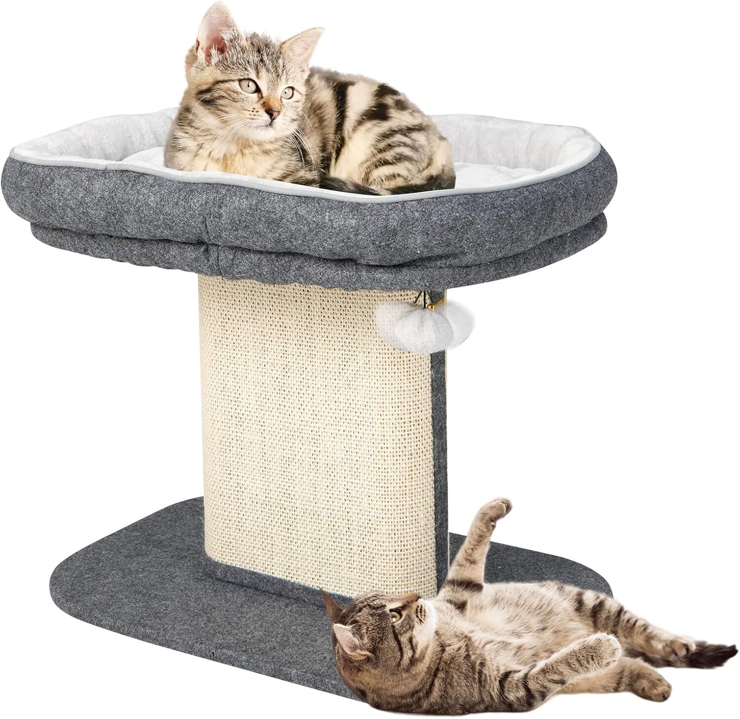COSTWAY &Aacute;rbol Rascador para Gatos Peque&ntilde;o, Altura 50 cm, Torre de Actividades para Gatos con Soporte de Peluche y Poste Rascador de Sisal, Bola, Muebles para Gatos para Jugar y Descansar (Gris), , large Imagen numero 1