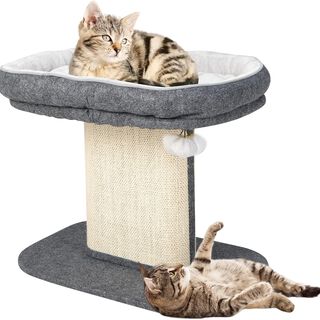 COSTWAY Árbol Rascador Pequeño Gris para Gatos