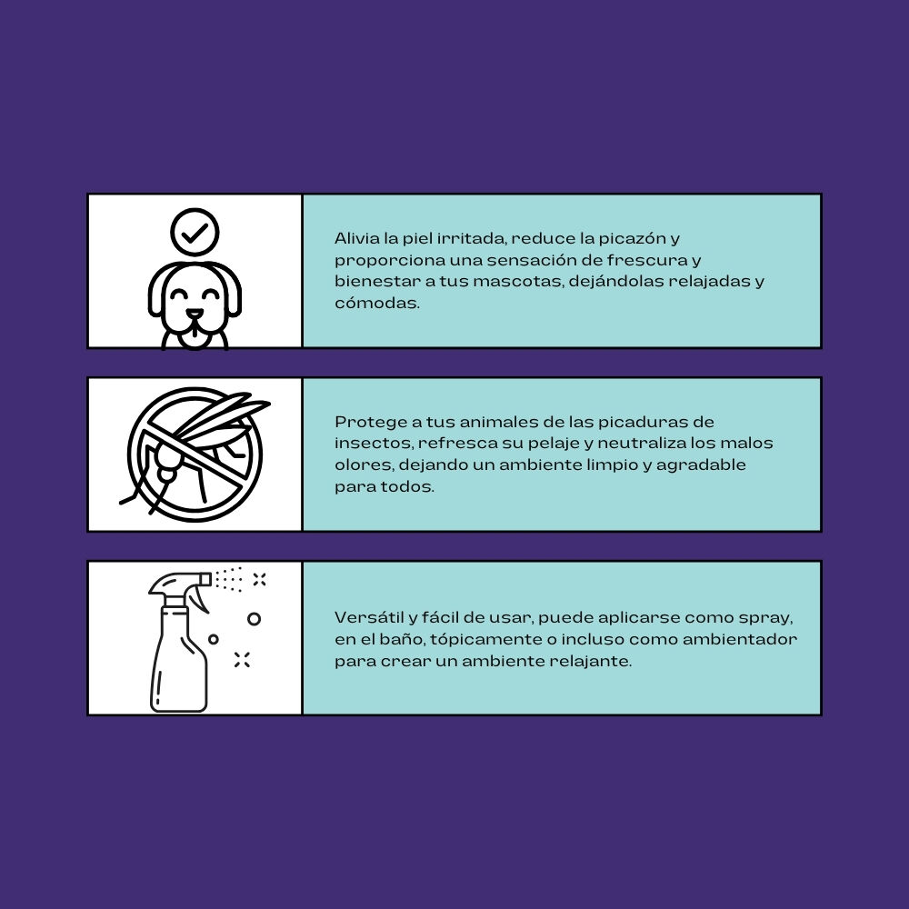 FINCA CASAREJO Hidrolato de Lavanda LavandaCare &ndash; Agua Arom&aacute;tica Natural para Limpieza, Relajaci&oacute;n y Protecci&oacute;n de Tus Mascotas - 250 ml, , large Imagen numero 2