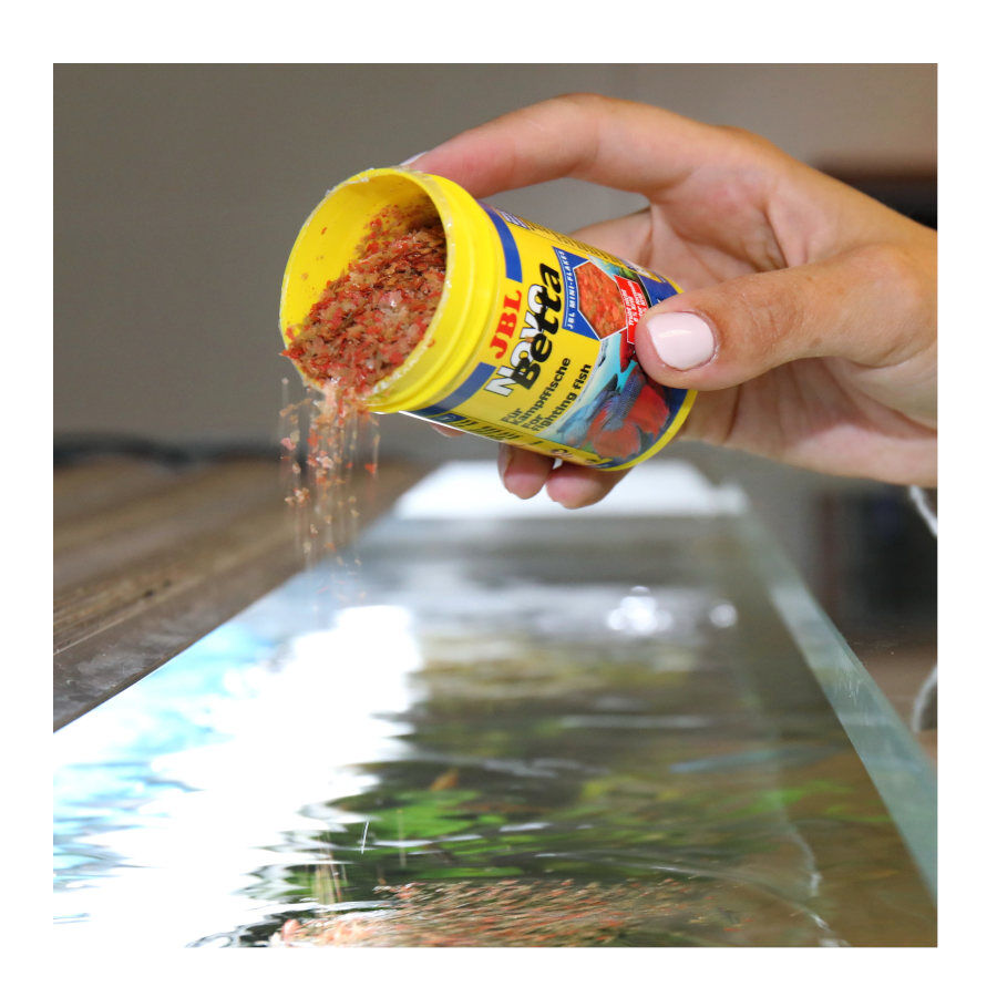 JBL Novo Betta Escamas thumbnail