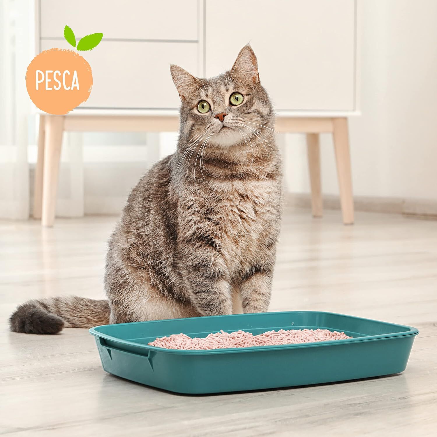 Cat&Rina BeNatural, Arena aglomerante de tofu de origen vegetal para gatos, hasta 30 d&iacute;as de uso, sabor Melocot&oacute;n, 5,5 l, , large Imagen numero 5