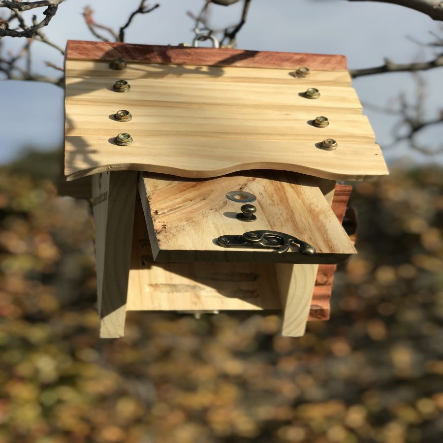Mundo virutas casita Hooper para p&aacute;jaros, , large Imagen numero 4