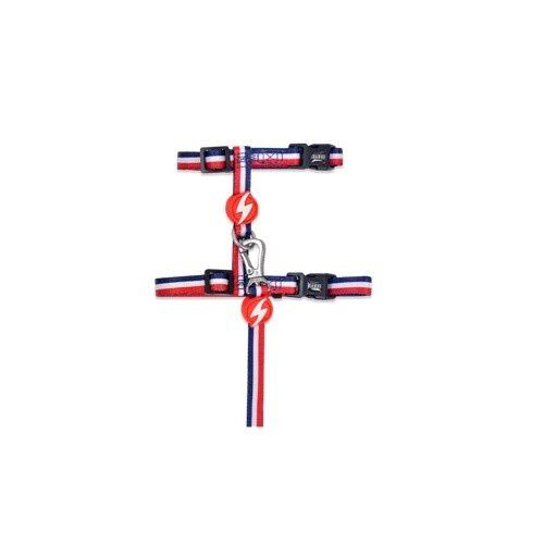 Dashi stripes arn&eacute;s con correa rojo y azul para gatos, , large Imagen numero 1