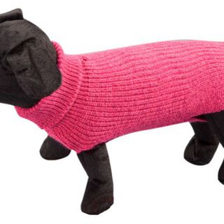 Arppe Sander Jersey Fucsia para perros
