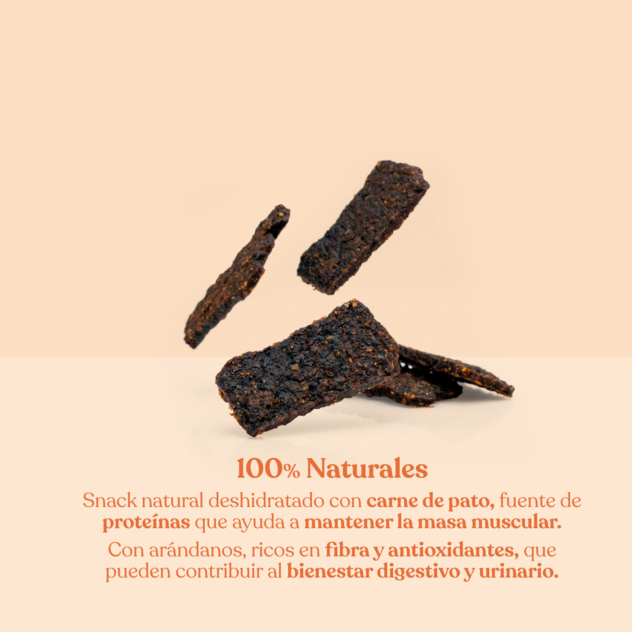 dr.bimix Filetes de Pato con Ar&aacute;ndanos para Perros | Snack Natural Premium, , large Imagen numero 2