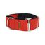 Collar Martingale para perro color Rojo, , large indicador imagen numero 1