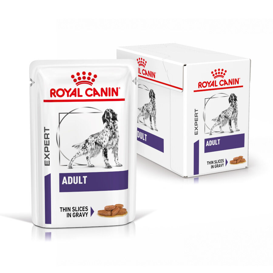 12 sobres x 85 g Royal Canin Expert Adult L&aacute;minas en Salsa sobre para perros, , large Imagen numero 2