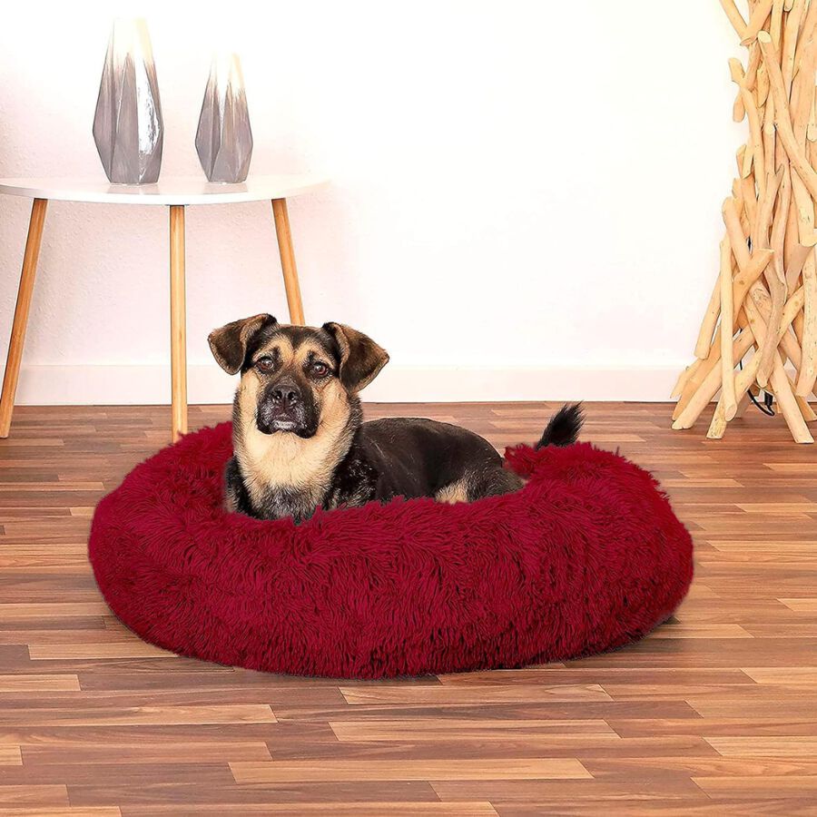 EL &Aacute;TICO PETS Cama Perro Mediano y Peque&ntilde;o. Cama para Perros. Cojin Resistente y Lavable. Cama de Pelo Largo para Gatos y Otras Mascotas Medianas, 70 x 70 CM, , large Imagen numero 5