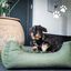 Cama Para Perros, , large indicador imagen numero 5