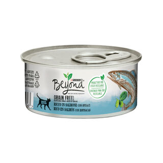 Beyond Grain Free Salmón lata paras gatos