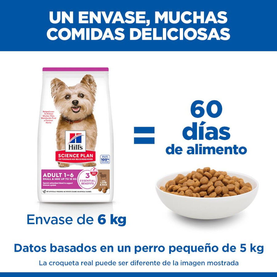 1.5 kg Hill's Science Plan Adult Small y Mini Cordero pienso para perros, , large Imagen numero 6