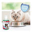 Beaphar Enjuague Bucal para perros y gatos, , large indicador imagen numero 5