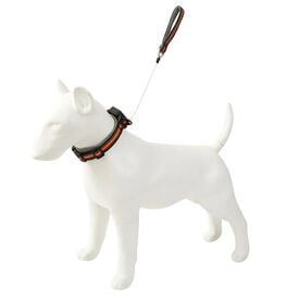 Collar para Perro Integrado con su Propio Correa retr&aacute;ctil, pr&aacute;ctico Collar para Salir de Mascotas, tracci&oacute;n retr&aacute;ctil autom&aacute;tica port&aacute;til