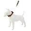 Collar para Perro Integrado con su Propio Correa retr&aacute;ctil, pr&aacute;ctico Collar para Salir de Mascotas, tracci&oacute;n retr&aacute;ctil autom&aacute;tica port&aacute;til, , large indicador imagen numero 1