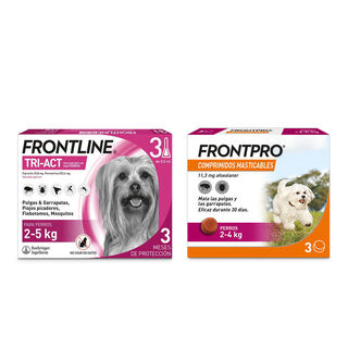 Pack Frontline Tri-Act pipetas + Frontpro comprimidos masticables para perros mini