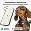 Pawview Localizador Inteligente para Mascotas, Rastreador Perros y Gatos Compatible con Apple Find My y Android Find Hub, Funda de Silicona Antidesgarros con C&oacute;digo QR, Sin Suscripci&oacute;n. Azul Oscuro, , large indicador imagen numero 2