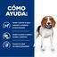 10 kg Hill's Prescription Diet Weight Loss r/d Pollo pienso para perros, , large indicador imagen numero 3