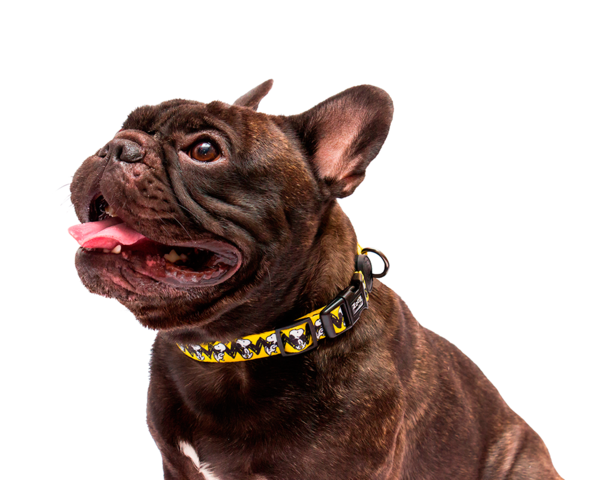 Collar para perro Snoopy color amarillo, , large Imagen numero 2