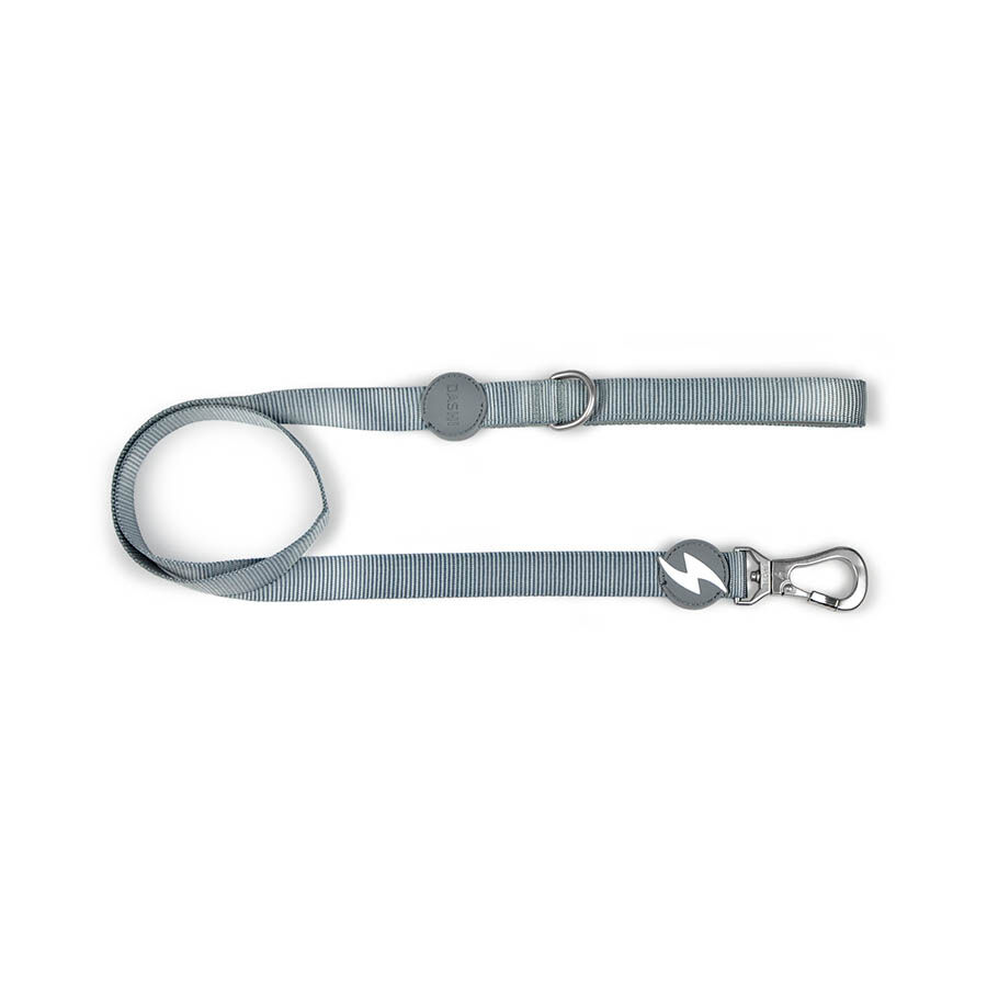 Correa de nylon para perros color Gris, , large Imagen numero 1