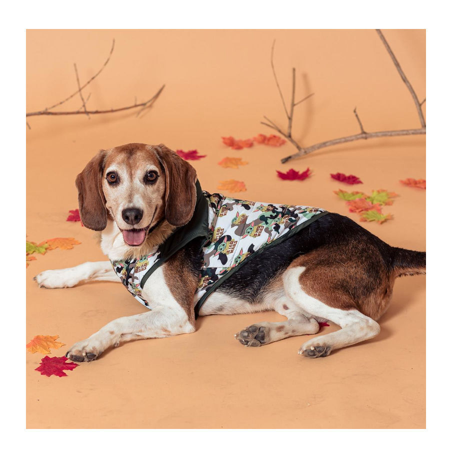 Disney Star Wars The Mandalorian Abrigo Acolchado para perros, , large Imagen numero 4