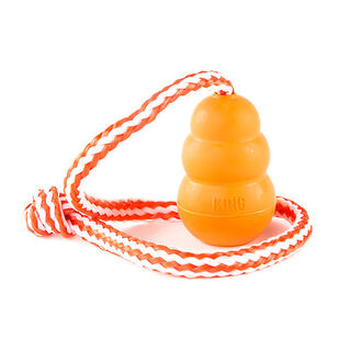 Kong Aqua juguete con cuerda para perros