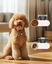 Oneisall Dog Groomer DTJ-002 CW01138, , large indicador imagen numero 3