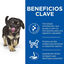 14 kg Hill's Science Plan Perfect Digestion Puppy Pollo pienso, , large indicador imagen numero 3