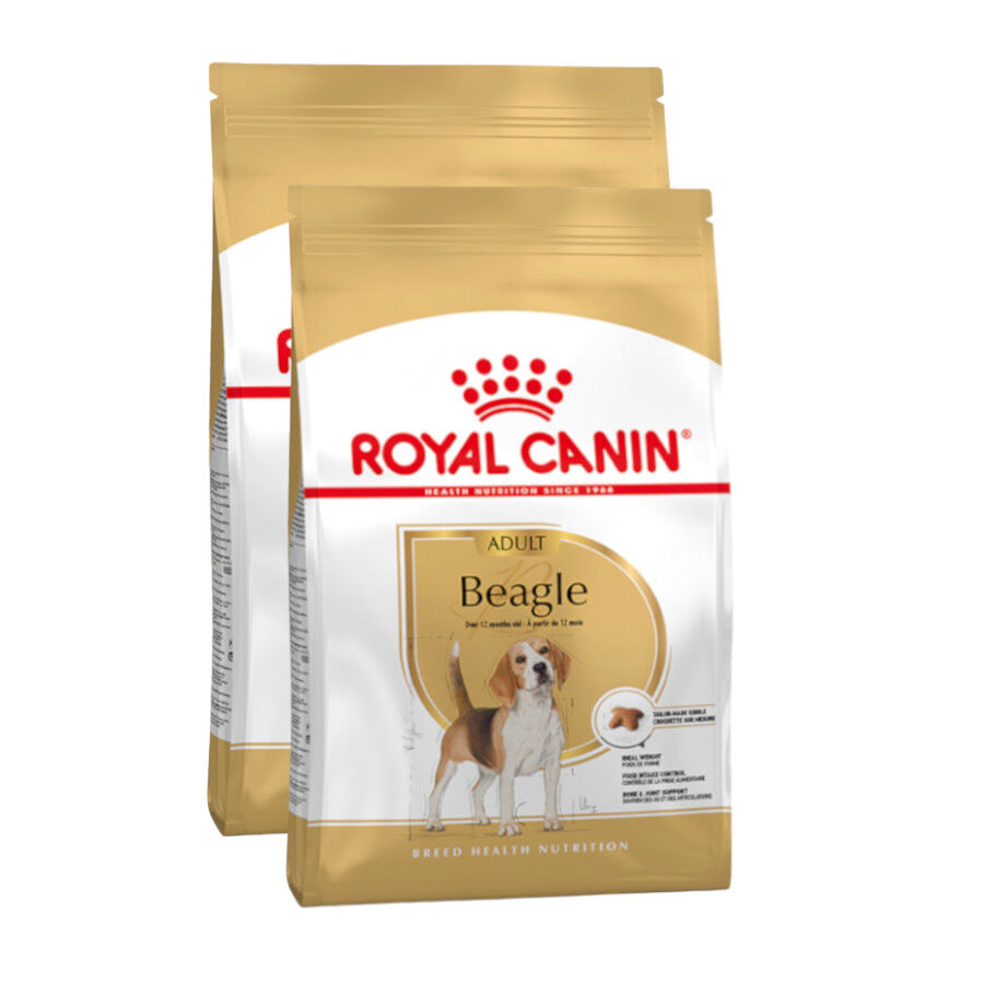 Royal Canin Adult Beagle pienso para perros thumbnail