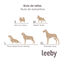 Leeby Cojín Acolchado Beige con Comics para perros, , large indicador imagen numero 6