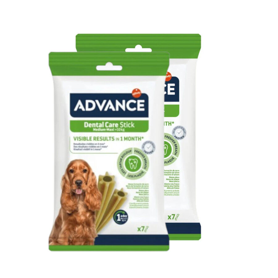 Advance Dental Care Stick Medium y Maxi snack para perros thumbnail