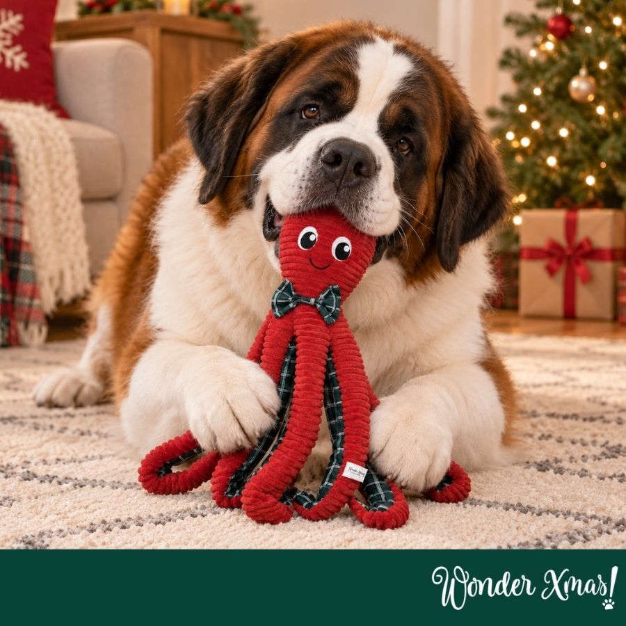 Wonder Christmas Pulpo XL Peluche para perros, , large Imagen numero 2