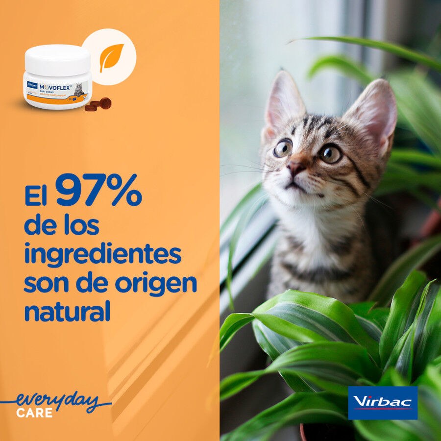 Virbac Movoflex Soft Chews Suplemento para gatos thumbnail