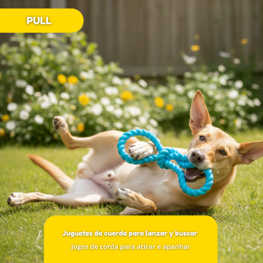 Tootoy! Mordedor Rubber Seaknot de Goma Azul para perros, , large Imagen numero 6