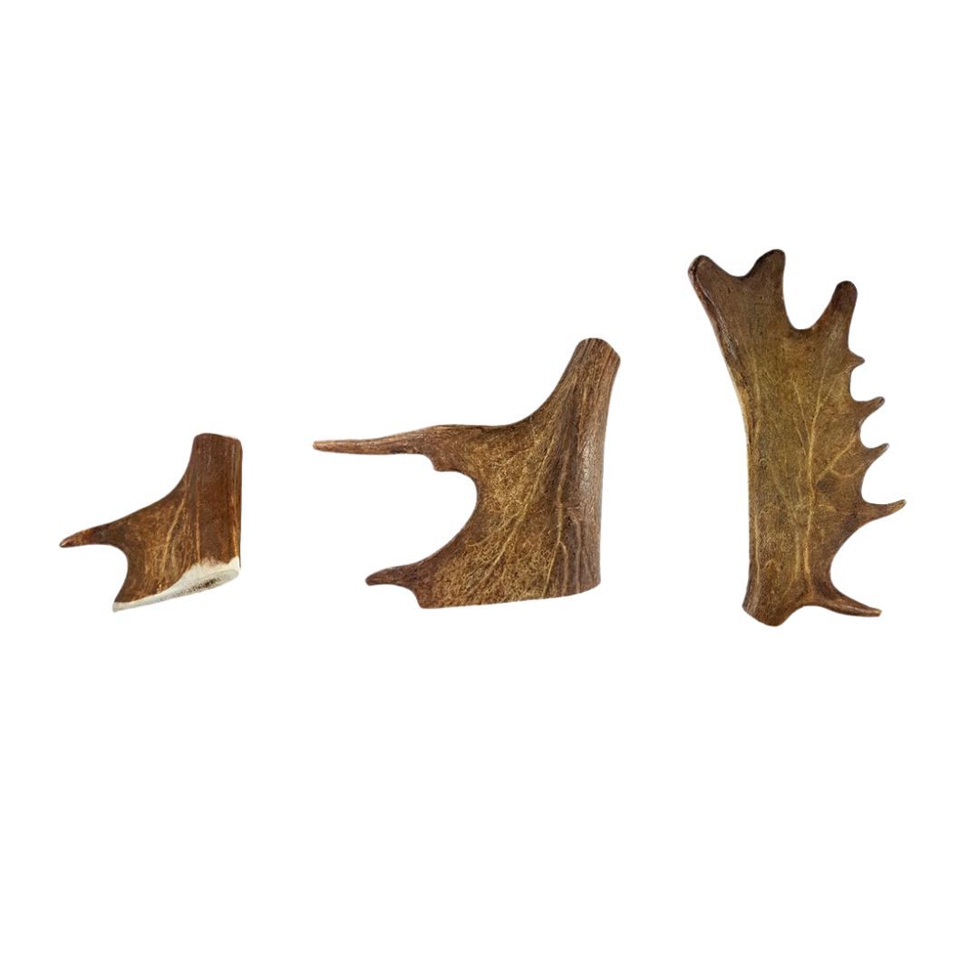 Mordedor de Asta de Gamo para perro, , large Imagen numero 1