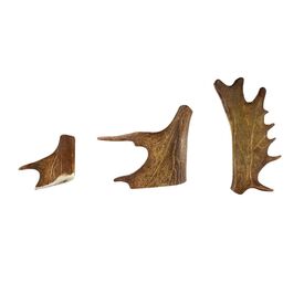 Mordedor de Asta de Gamo para perro