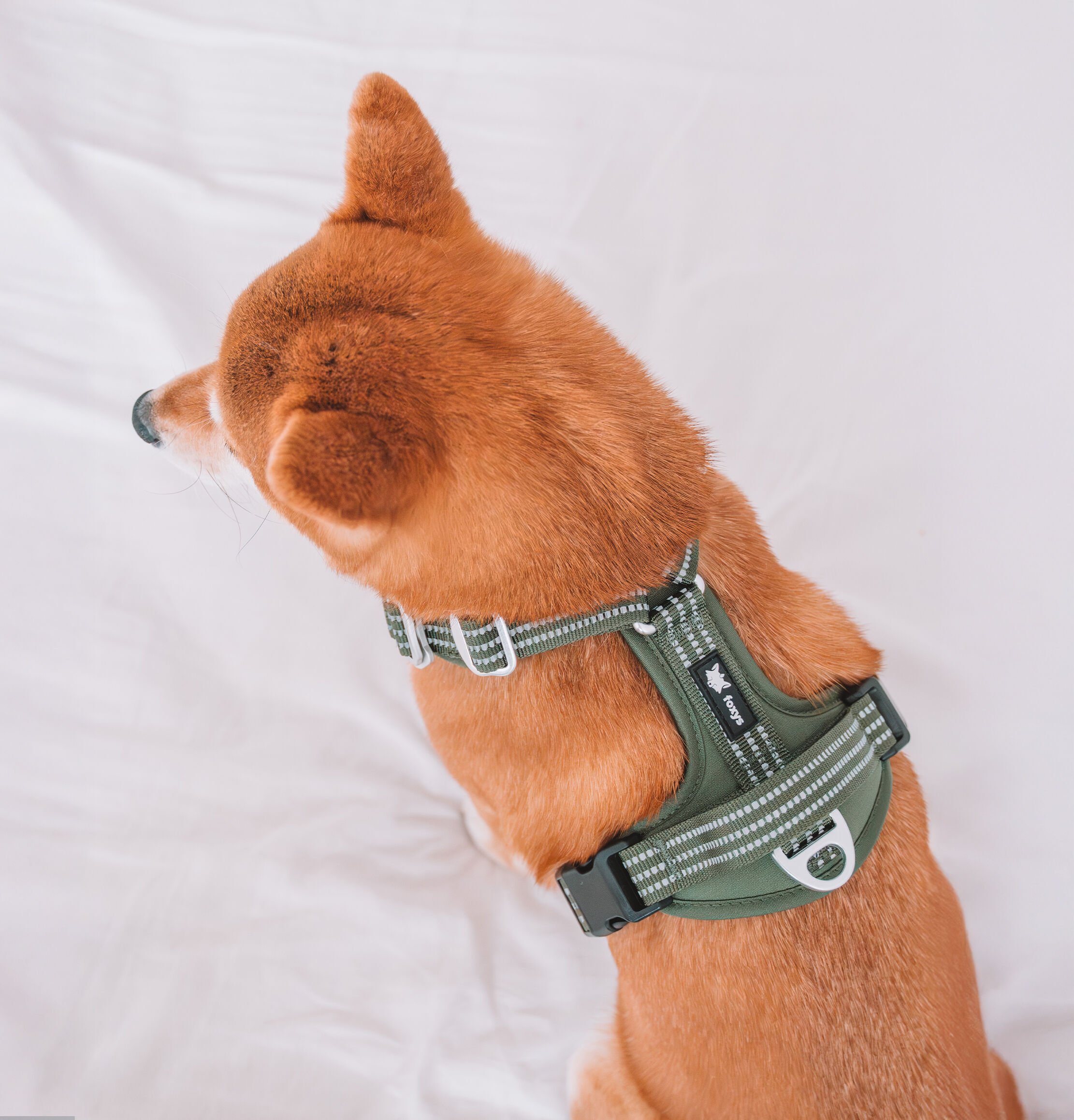 Foxys Arnés Anti Tirones Matcha verde para perros thumbnail