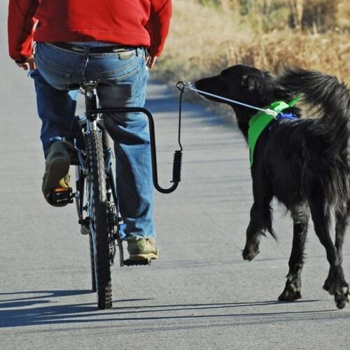 Correa de bicicleta para perros color Negro, , large Imagen numero 5