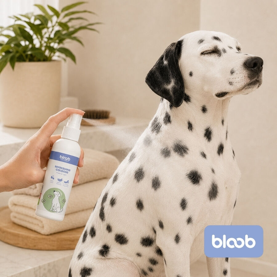 Bloob Colonia Refrescante Pepino para perros, , large Imagen numero 2