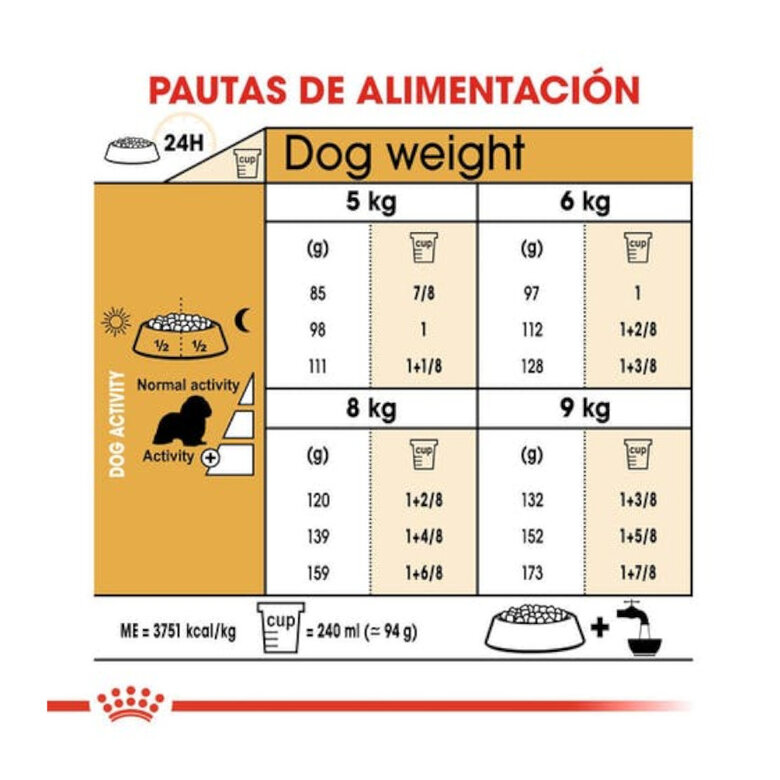Royal Canin Adult Cavalier King Charles pienso para perros , , large image number null