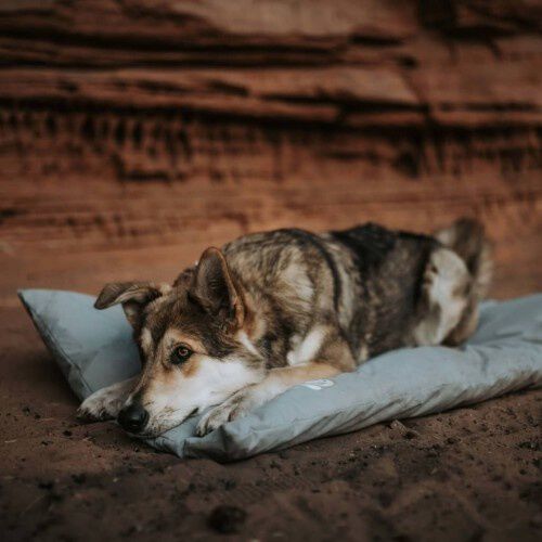 Esterilla Lodge de jaula para perros color Gris, , large Imagen numero 10