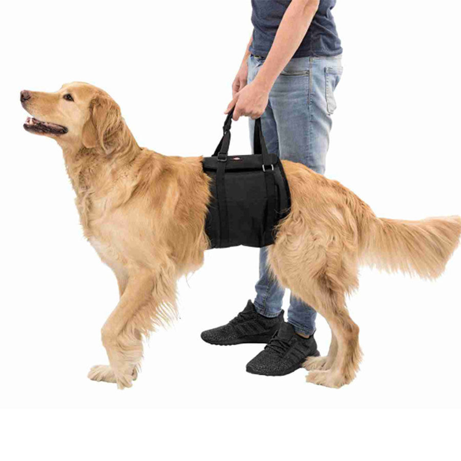 Arn&eacute;s de Banda Talla L-XL, , large Imagen numero 3