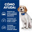 10 kg Hill's Prescription Diet z/d Low Fat alimento para perros, , large indicador imagen numero 4